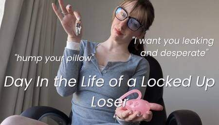 Day In the Life of a Locked up Loser - Chastity - Pay Lavender