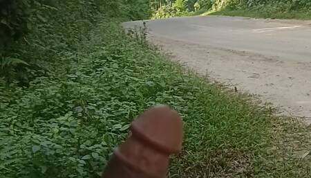 Today I masturbated naked while talking by the side of the public road
