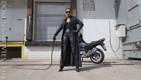 SMOKING BULLWHIP - 02