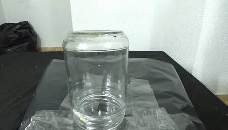 BRUNETTE PAWG GODDESS FARTING FOR YOU PART 1 By SCARLET WHITE CAM BY ALINE FULL HD