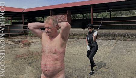 STABLE BULL WHIPPING in SPAIN - 02