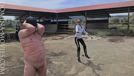 STABLE BULL WHIPPING in SPAIN - 03