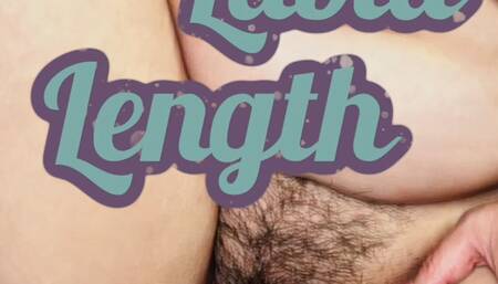 Labia Length