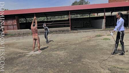 STABLE BULL WHIPPING in SPAIN - 05 - The Finale