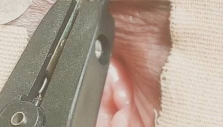 Needling to the clitoris.