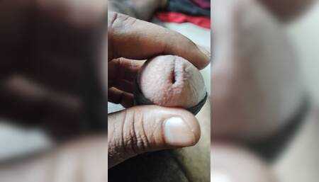Indian Artist Sperm Available for reproduction