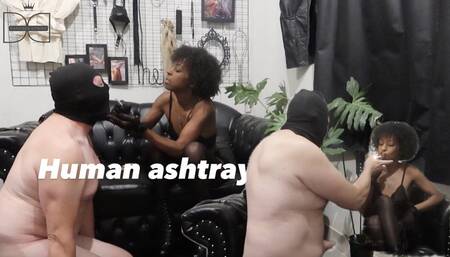 Dandara Domme: Another white man being used as a human ashtray (EN-4k)!