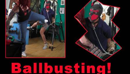 Ballbusting a Pussy Bitch 1280x720