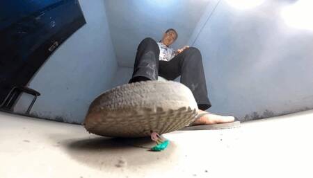 GAOYU Herringbone Drag Treading Dwarf 360VR1