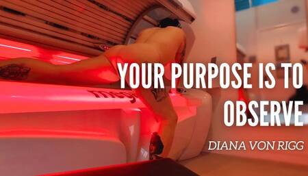 Your Purpose is to Observe: My Private Tanning Routine (POV Fantasy)