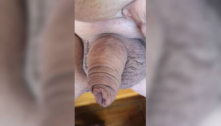 Softee Lil Willy