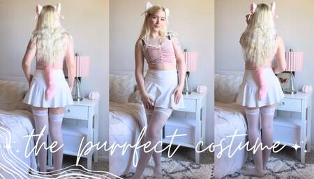 Trying on the Cutest Cat Costume Ever !!