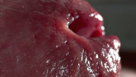 Crocodile Mouth Releases Fluid