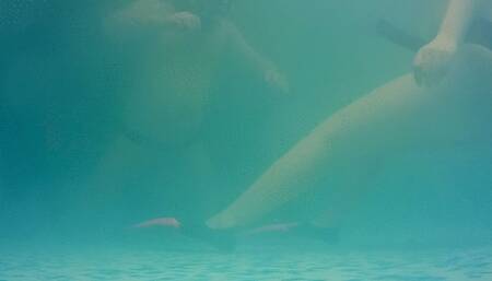 We are back! - part 2