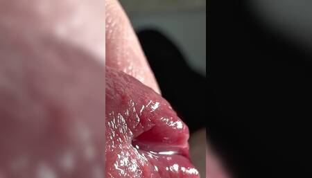 Crocodile Mouth Releases Fluid