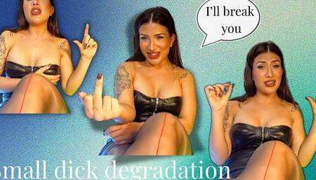 Small Dick Humiliation: I’ll Break You