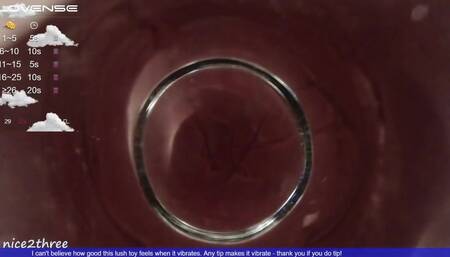 Fat Glass Dildo Inside View