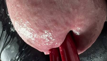 My Crocodile's Mouth Is Fed