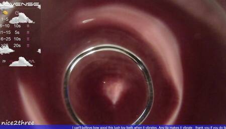 Fat Glass Dildo Inside View