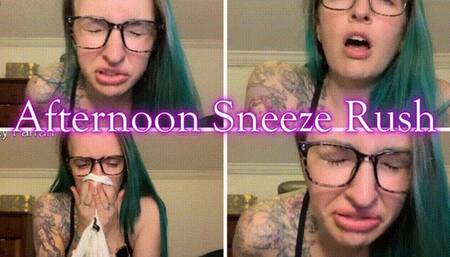 Afternoon Sneeze Rush *mp4*