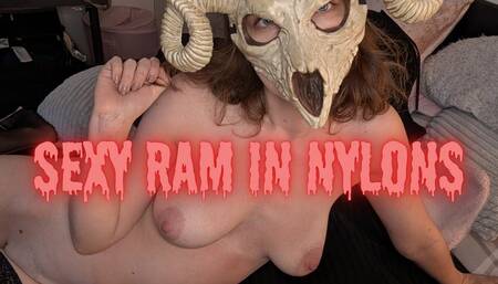 Horny Sexy Ram in Nylons