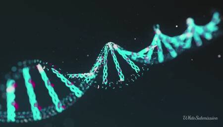 BNWO Science ASMR
