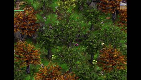 Nun Is Pregnant by Priest