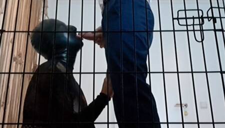 POV from the Cage - Sissy Slave Watches Mistress Sucks Masters Cock