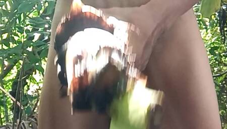The Tight Hole of the Banana Tree Is Delicious