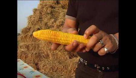 Wonderful Young Girl with Big Nipples Tied up and Cumshot on Pussy by Big Cock