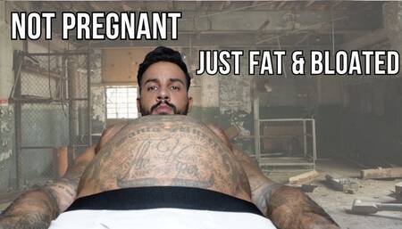 Not Pregnant - Just Fat & Bloated - Lalo Cortez