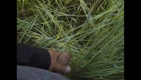 The Dirtiest Pussy Eating and Cock Riding You’ll Ever See (full Porn Movie)