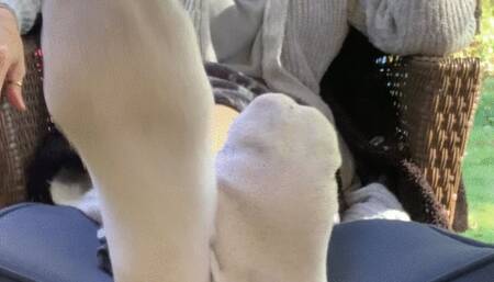 CRISP OCTOBER SOLES AND TOES