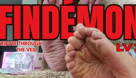 Findémon Vol. 1 - Tribute Through the Veil - Lv2 Findom