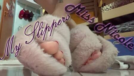 My Slippers