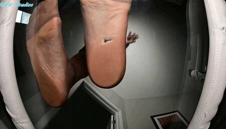 Karly Salinas TRAMPLES pervy co worker under her GIANT PANTYHOSE FEET! - MP4