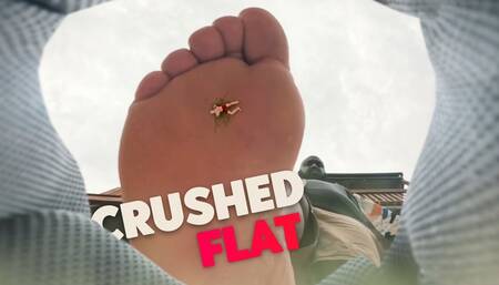 Giant Stomps You Flat! NO MERCY