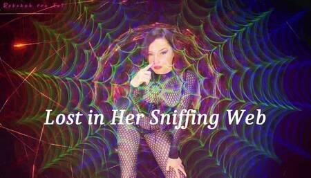 Lost in Her Sniffing Web