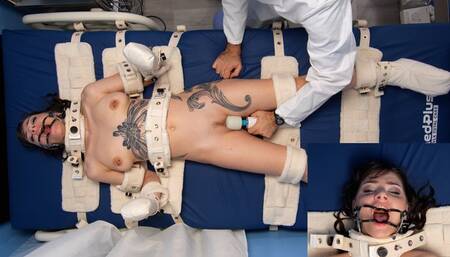 Obedience Training for Josie Jo