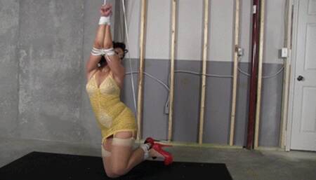 d2510SAHRYE-All I had to do was talk my way into getting tied up and gagged!