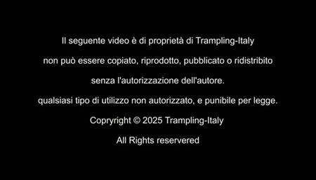 A1043 Lady Cat in Ti cammino sopra