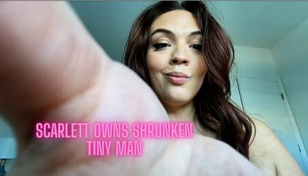 Scarlett's Owns Shrunken Tiny Man: Bedroom Panty Drawer Sex Toy Domination (POV Shrinking Fetish)