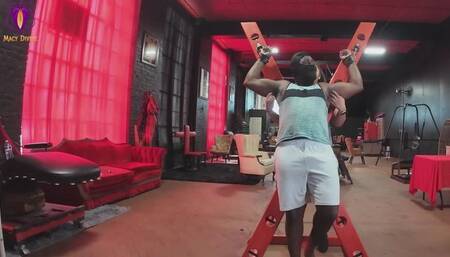 Who will last longer? Tickle Toy or Macy?