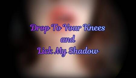 Drop to Your Knees & Lick My Shadow… Or Be Nothing