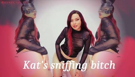 Kat's sniffing bitch