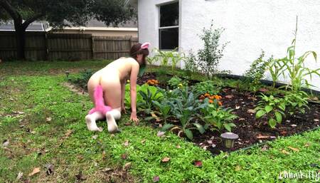 Kitty Kums in the Kale