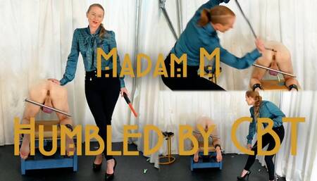 Humbled by CBT, extreme peg, whipping, dragon tail and electro discipline