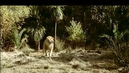 Asia loves big dick in hairy pussy in ass