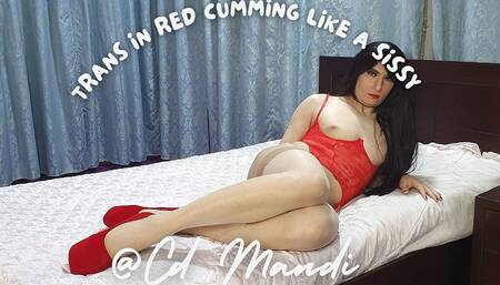 CD Mandi