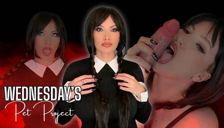 Wednesday's Pet Project [Mesmerize]